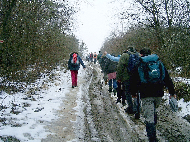20100220 078.jpg